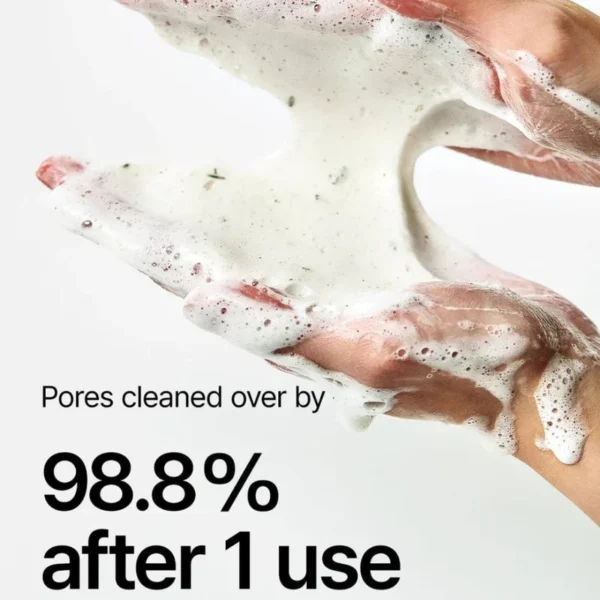 HEARTLEAF QUERCETINOL PORE DEEP CLEANSING FOAM - Image 3